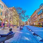Luxury Exclusive 3 Bedroom Downtown Apartment